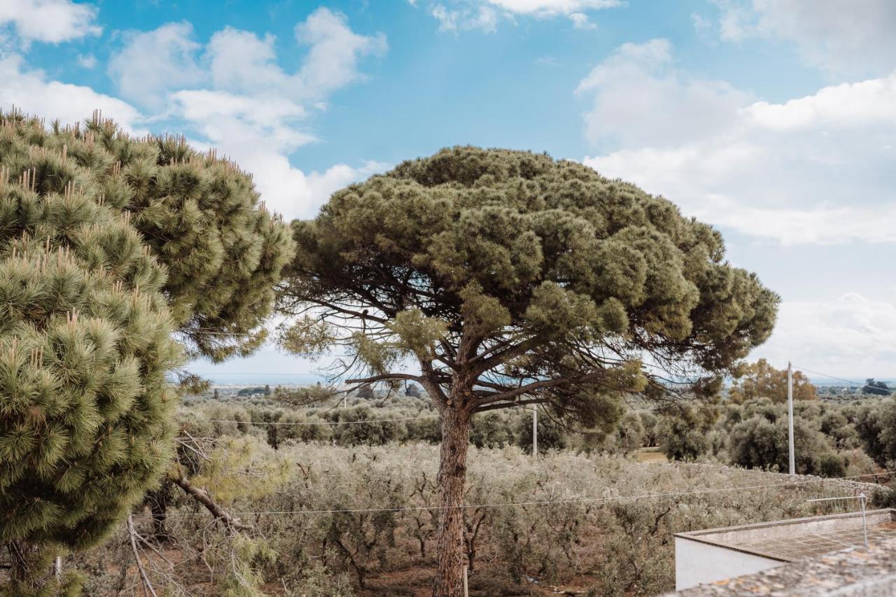 Masseria Casamassima Agriturismo Ostuni Dış mekan fotoğraf