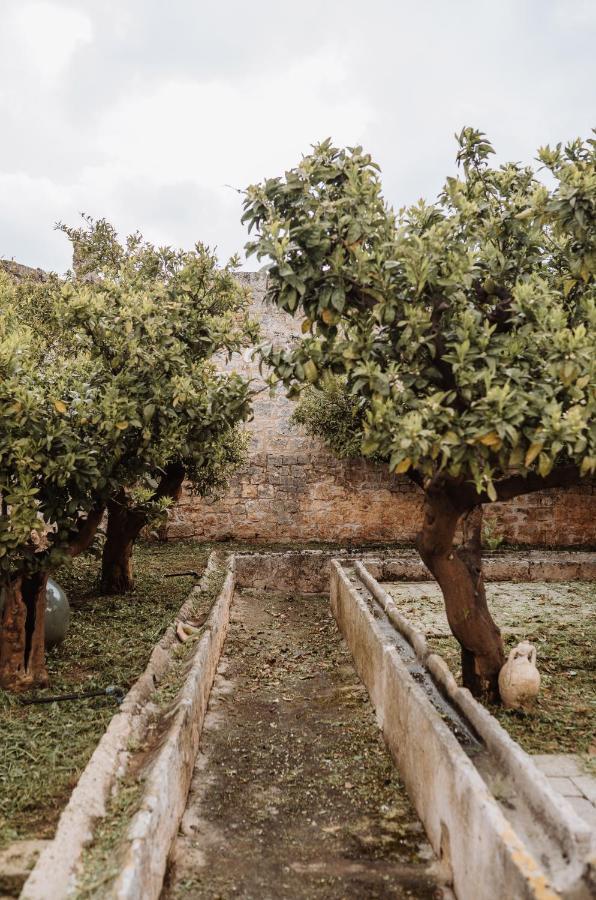 Masseria Casamassima Agriturismo Ostuni Dış mekan fotoğraf