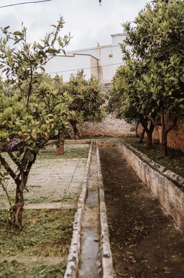 Masseria Casamassima Agriturismo Ostuni Dış mekan fotoğraf