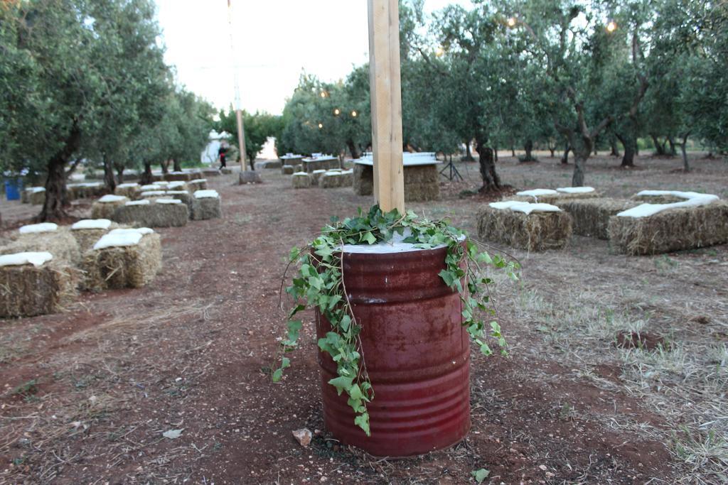 Masseria Casamassima Agriturismo Ostuni Dış mekan fotoğraf