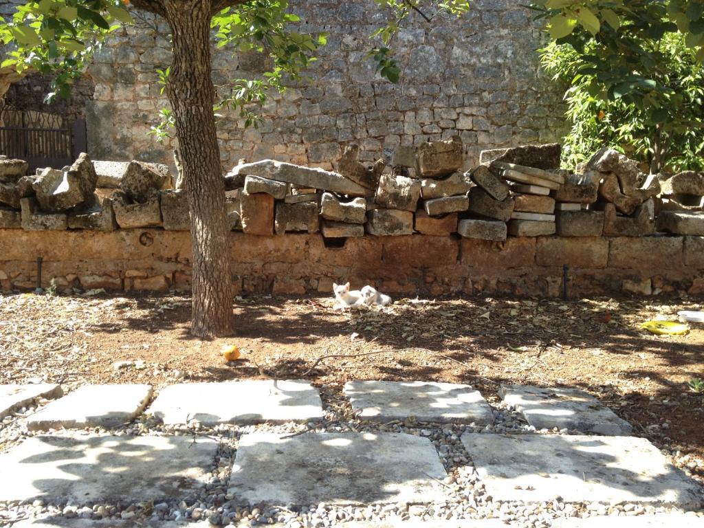 Masseria Casamassima Agriturismo Ostuni Dış mekan fotoğraf